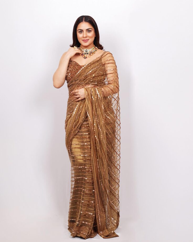 Shraddha Arya Can't Style Her Saree Look Without This One Thing, Check Now 795735