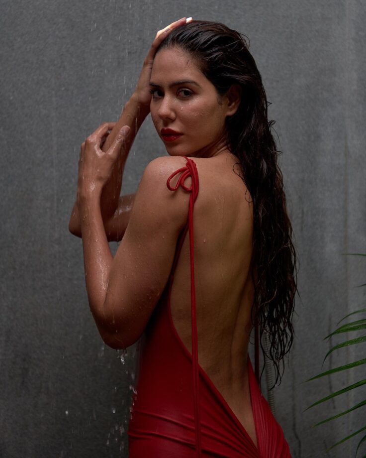 Sonam Bajwa rings in red hot backless bodycon under shower, see pics 795117