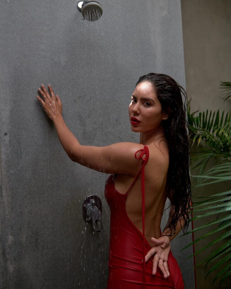 Sonam Bajwa rings in red hot backless bodycon under shower, see pics 795120