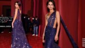 Zendaya Coleman Gives An 'Indian Tadka' To Her Look As She Appeared In A Blue Sparkling Saree 793203