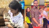 Bigg Boss Babes: Rubina Dilaik and Bharti Singh go crazy with squad, Sumbul Touqeer Khan spends time with her 'pari' 808388