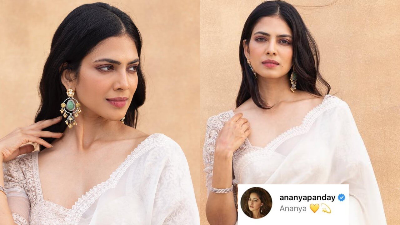 Malavika Mohanan is a vision to hold in white transparent saree, Ananya Panday appreciates 804909
