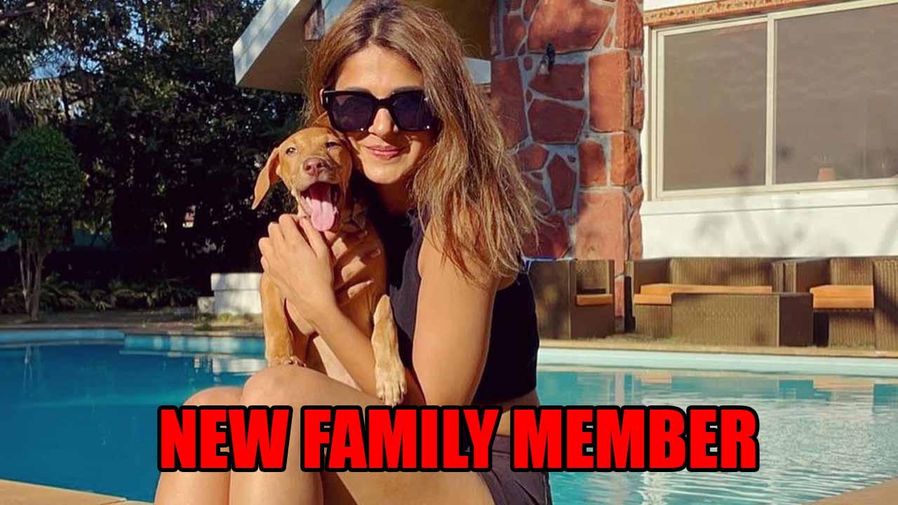 My handsome, little, green-eyed...: Jennifer Winget introduces a new family member 805687