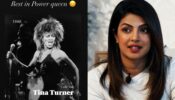 Priyanka Chopra's emotional note for legendary Tina Turner 810258