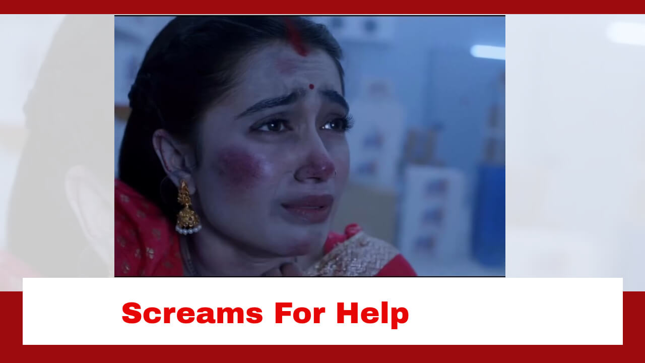Pyar Ka Pehla Naam Radha Mohan Spoiler: Radha screams for help from inside the freezer room 805733