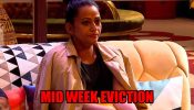Bigg Boss OTT 2: Aaliya Siddiqui gets eliminated in mid week eviction 820728