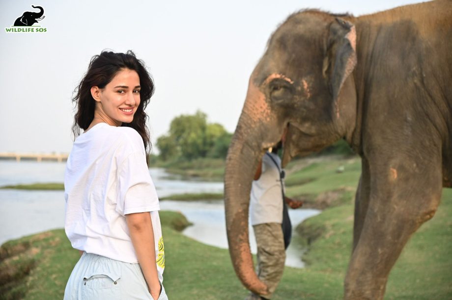 Disha Patani shares her incredible experience of her visit at a Wildlife SOS Centre, Check this video out 813012
