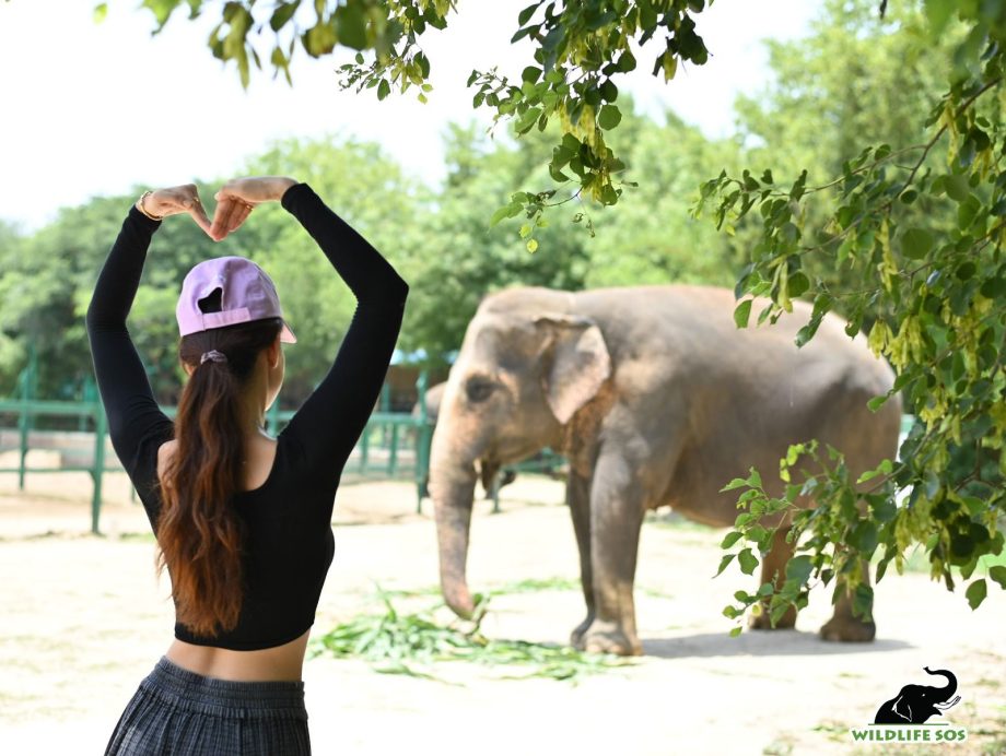 Disha Patani shares her incredible experience of her visit at a Wildlife SOS Centre, Check this video out 813013