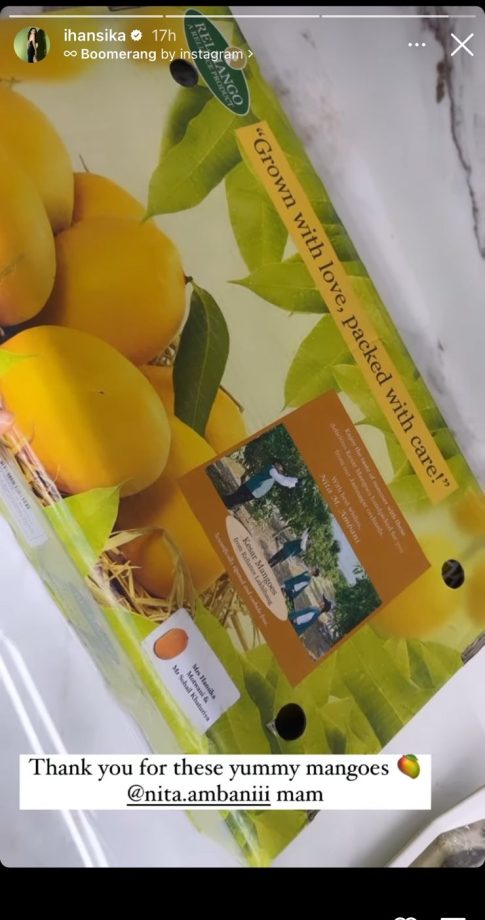 Hansika Motwani gets a box full of mangoes as gift from Nita Ambani, check out 818297