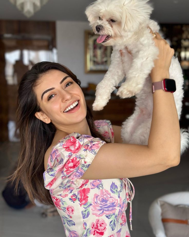 Hansika Motwani’s pawsome moment is the next sweetest thing to witness on internet 814923