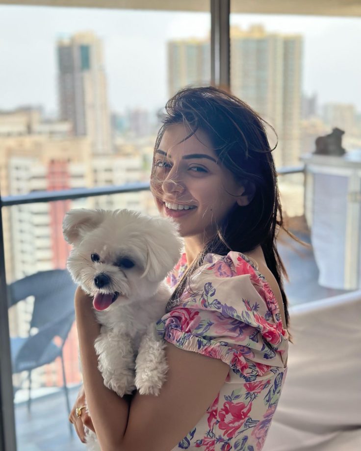 Hansika Motwani’s pawsome moment is the next sweetest thing to witness on internet 814924