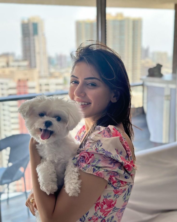 Hansika Motwani’s pawsome moment is the next sweetest thing to witness on internet 814921