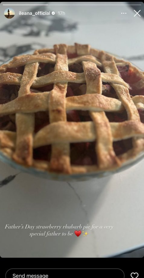 Ileana D’Cruz bakes mandatory Father’s Day special, “strawberry rhubarb pie”, for the “father-to-be” 817395