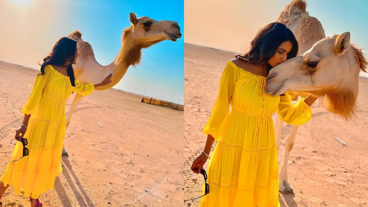 Jasmin Bhasin's adorable camel love moment in Abu Dhabi 812727