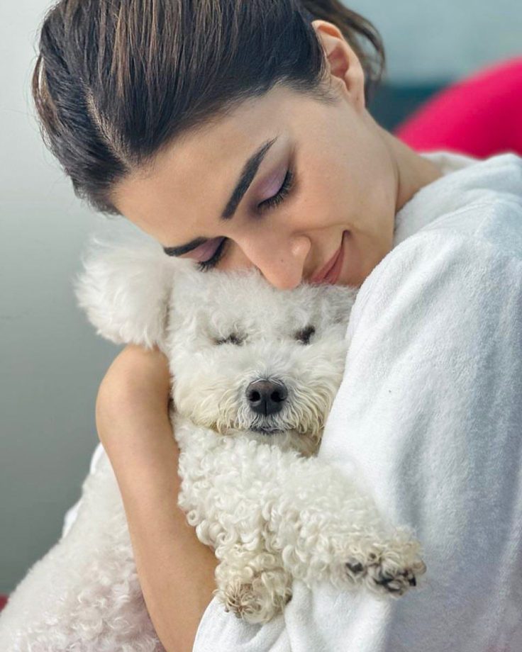 Kriti Sanon cuddling up with her furball, Disco is the cutest picture on the internet today 812419