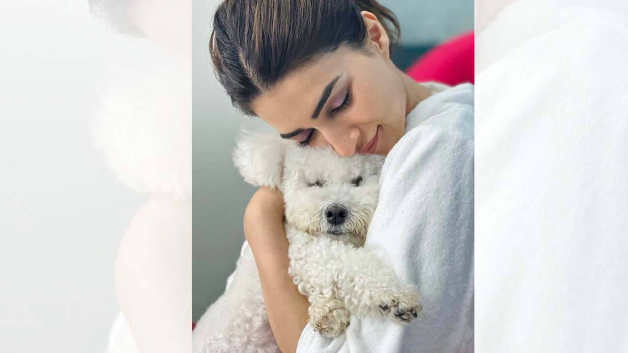 Kriti Sanon cuddling up with her furball, Disco is the cutest picture on the internet today 812418
