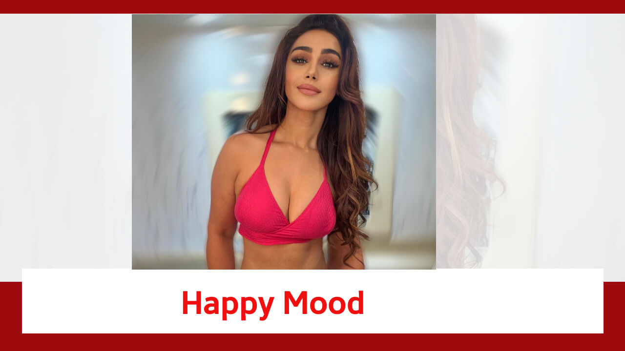 Naagin Fame Mahekk Chahal Is Happy And Glowing; Take A Look 815207
