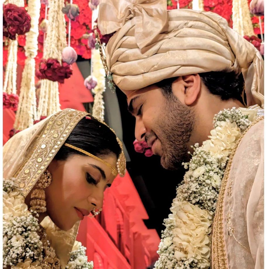 Telugu Actor Sharwanand And Rakshitha Reddy Tied Knot In A Grand Ceremony; See Pics 812976