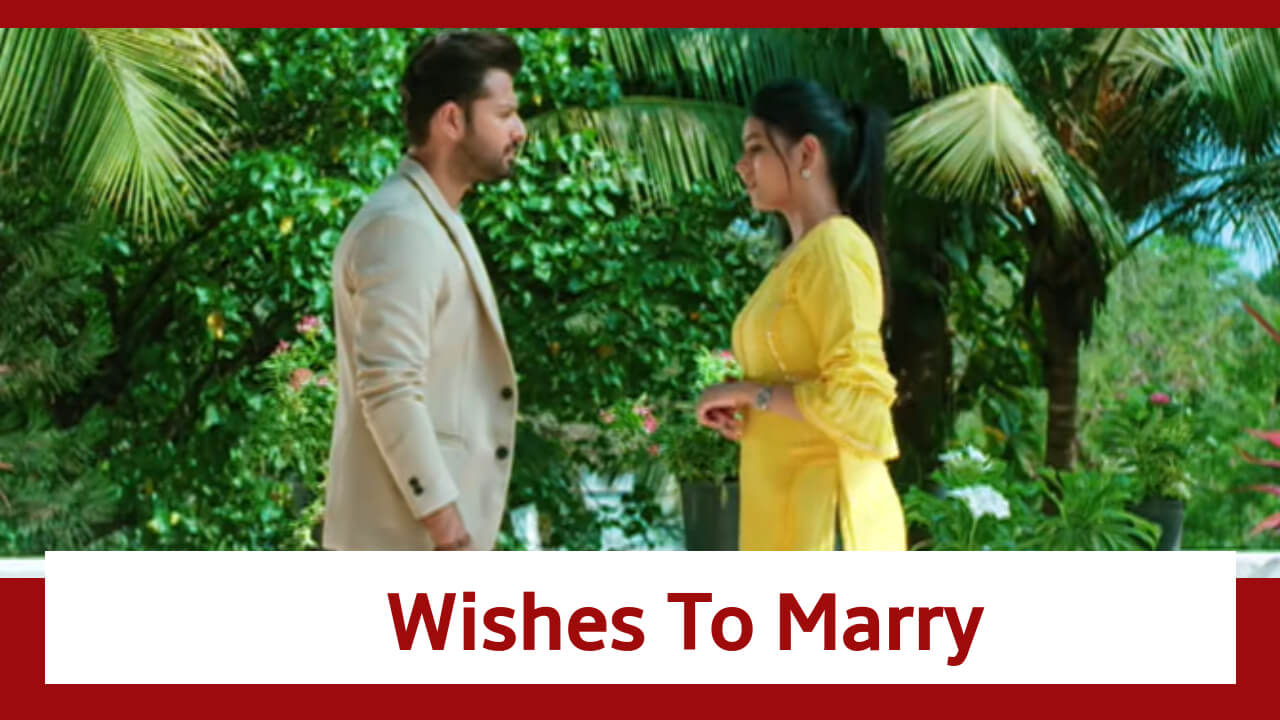 Titlie Spoiler: Rahul wishes to marry Titlie 813190