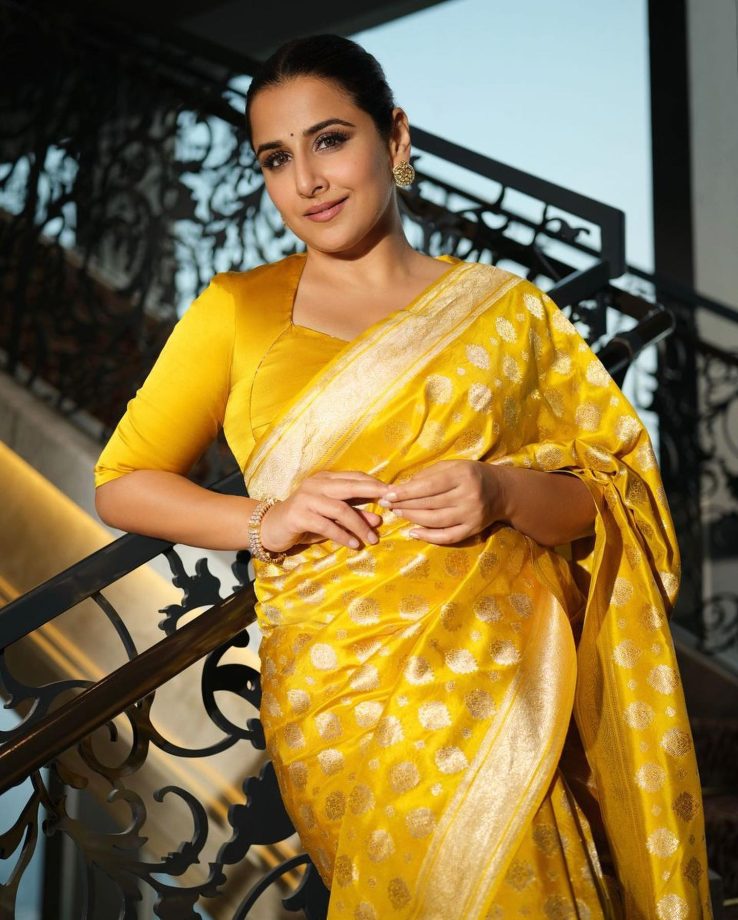 Vidya Balan Is An Epitome Of Elegance In Saree 818686