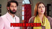 Bade Achhe Lagte Hain 3 spoiler: Powder mystery leads Priya to uncover devious plot 837693