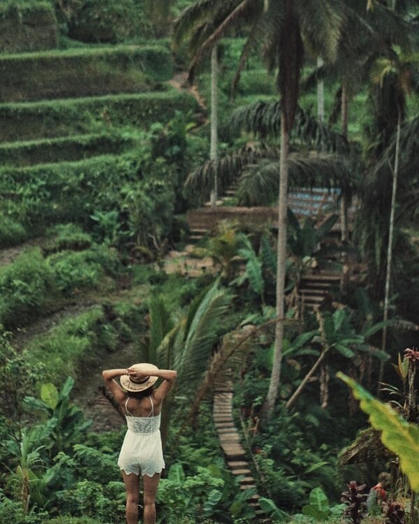 Exploring Bali with Samantha Ruth Prabhu: The journey from Uluwatu to Ubud Monkey Forest 837947