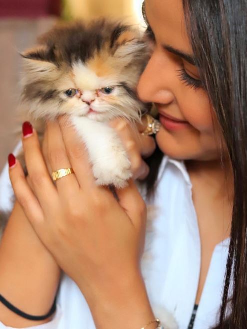 Jasmin Bhasin Shows Her Animal Love; Cuddles Her Pet In These Pics 823941