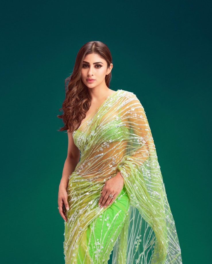 Mouni Roy Sets Internet On Fire In Light Green Embellished Saree, See Photos 823287