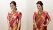 Rashii Khanna gives her saree a classic traditional swirl, see pics 833405