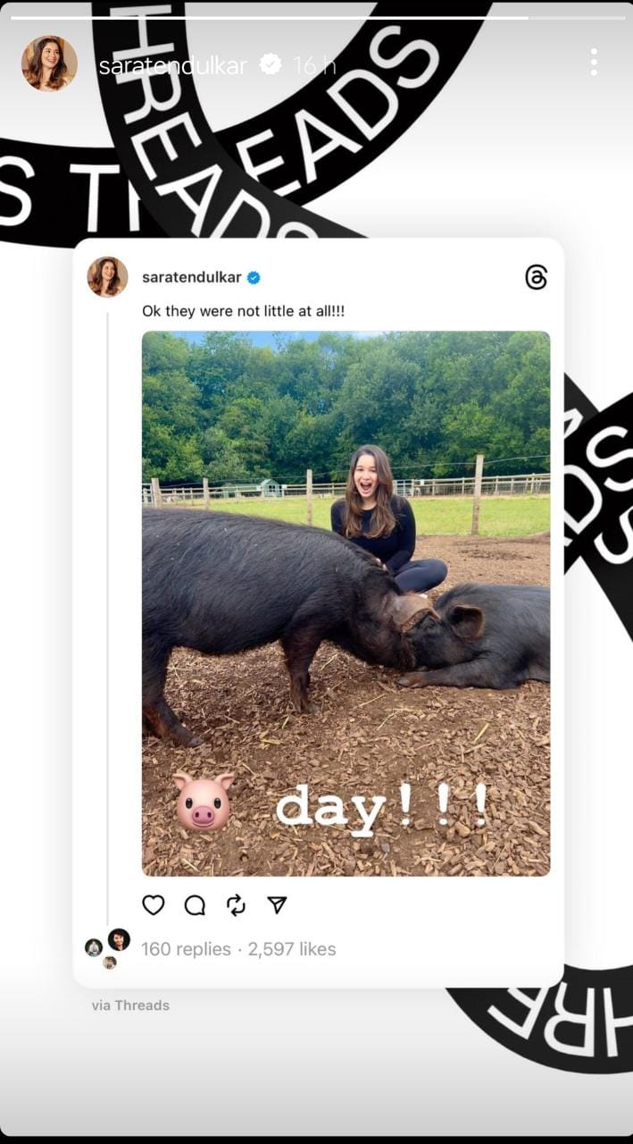 Sara Tendulkar's 'Pig Day' Is Too Cute To Handle 832547