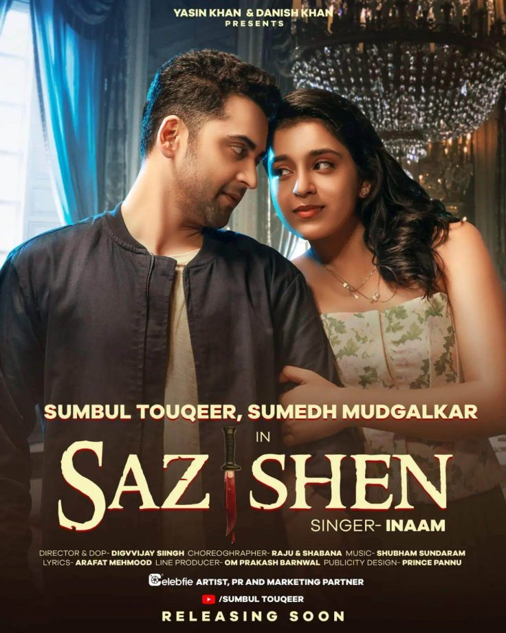 Sumbul Touqeer Pairs Up With Sumedh Mudgalkar For Sazishen; Check Out 828707