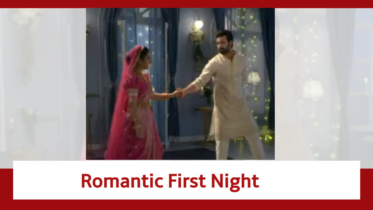 Neerja Ek Nayi Pehchaan Spoiler: Abeer's romantic first night with Neerja 840170