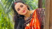 Rani Chatterjee Personifies 'North Indian' Vibes In Chundari Chap Saree 845380