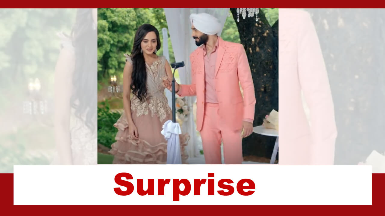 Teri Meri Doriyaann Spoiler: Angad gives Sahiba a grand surprise 846471