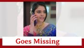 Anupamaa Spoiler: Pakhi goes missing 849317