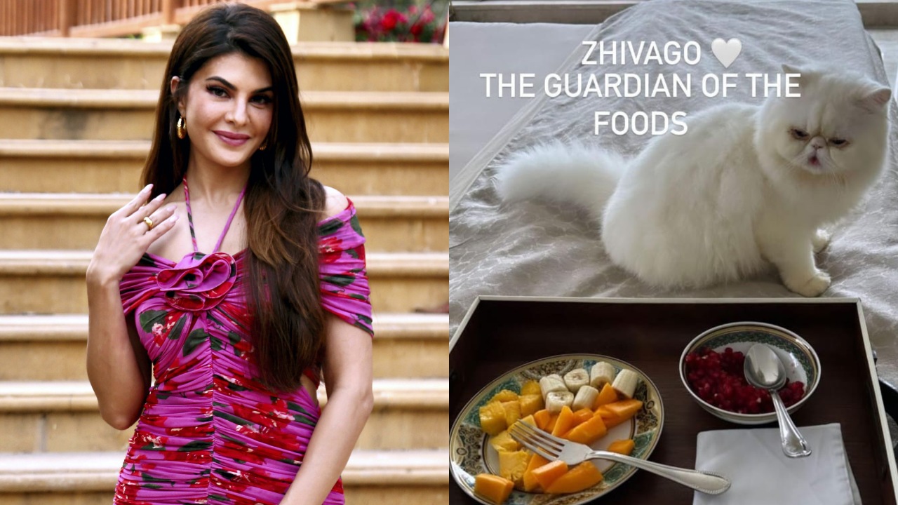 Inside Jacqueline Fernandez’ ‘purrfect’ mornings, see pic 850369
