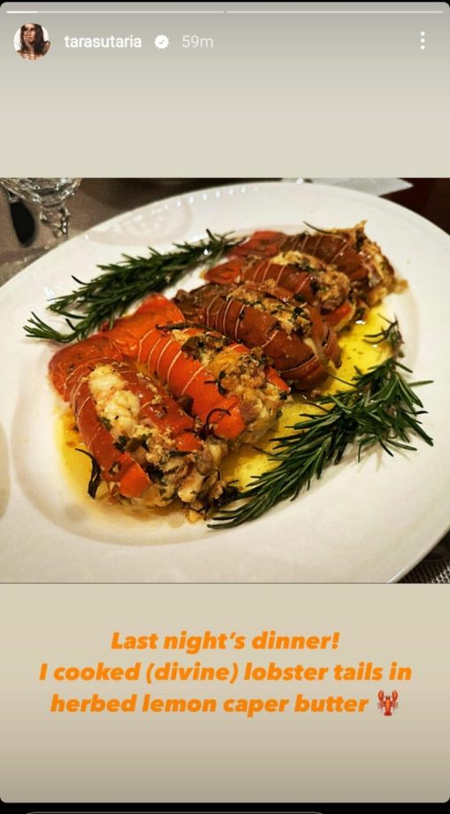 Inside Tara Sutaria’s seafood soiree: Lobster tails, spaghetti and more 849246