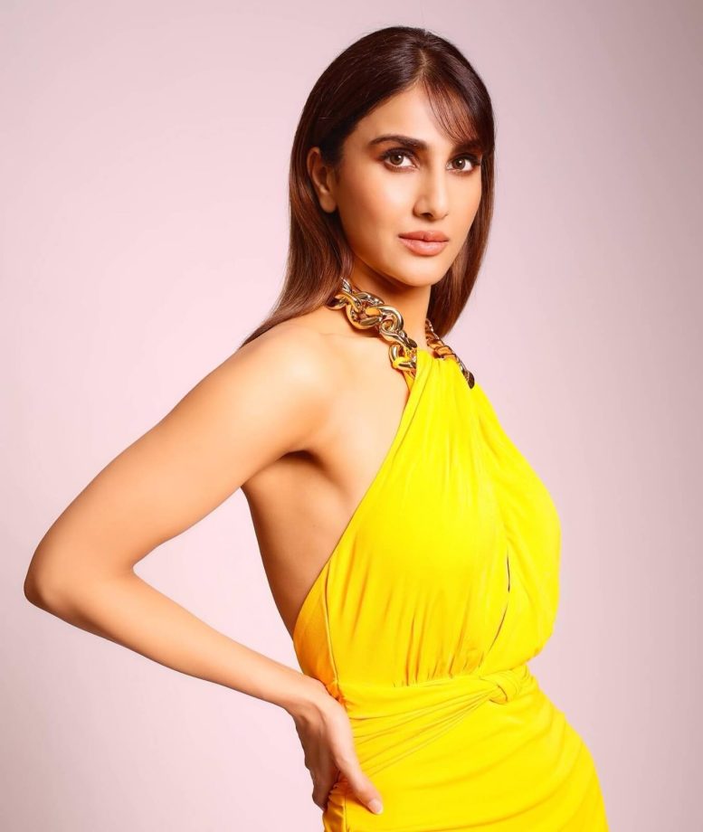 Raashi Khanna VS Vaani Kapoor: Whose Backless Dress With Gold Accessories Is The Show Stealer? 851478