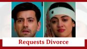 Rabb Se Hai Dua Spoiler: Haider requests a divorce from Dua 848521