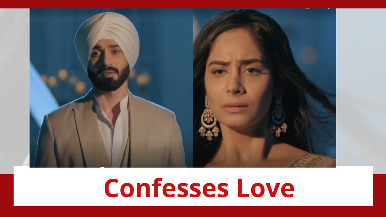 Teri Meri Doriyaann Spoiler: Angad confesses his love before Seerat 849398