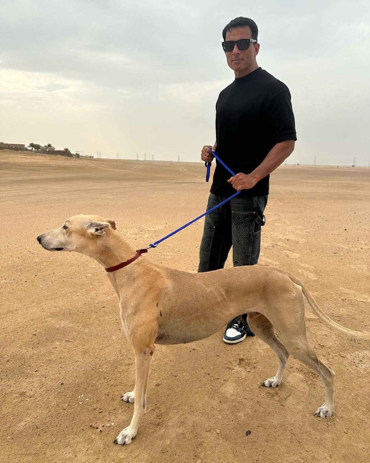 Fateh BTS: Sonu Sood poses with a gorgeous falcon bird, pictures viral 865763