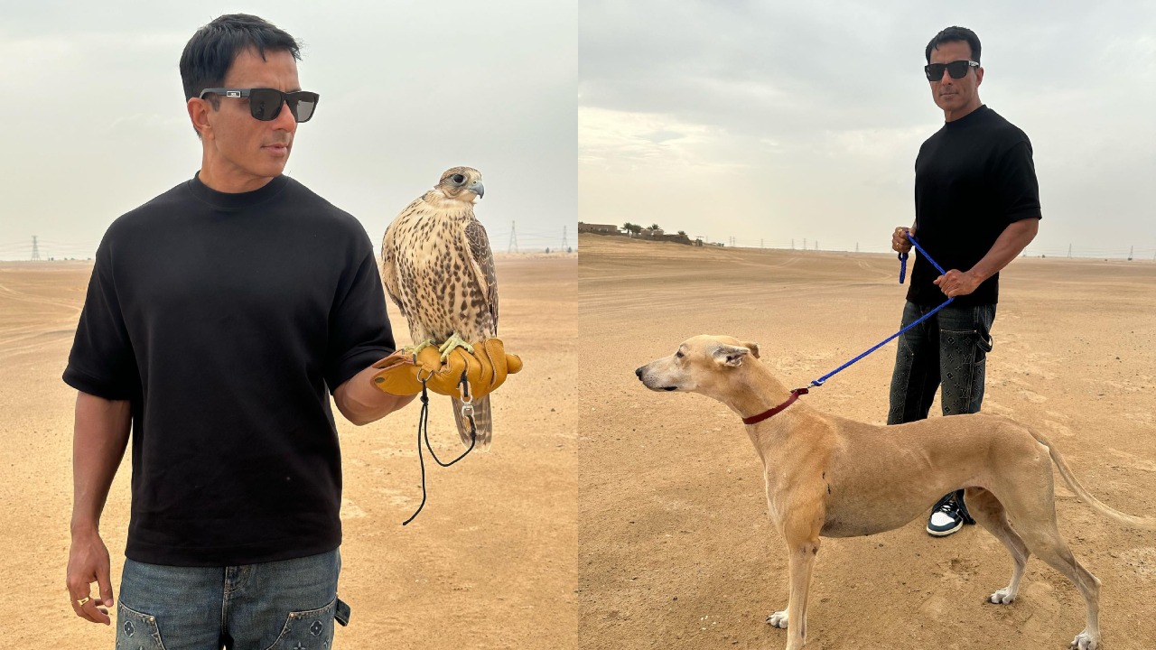 Fateh BTS: Sonu Sood poses with a gorgeous falcon bird, pictures viral 865764