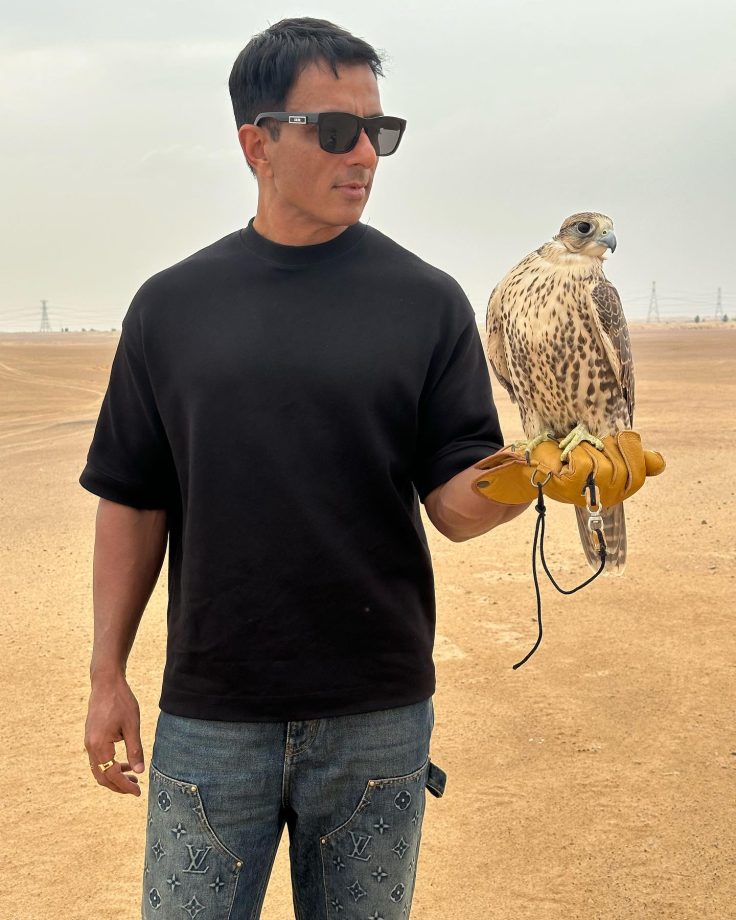 Fateh BTS: Sonu Sood poses with a gorgeous falcon bird, pictures viral 865762