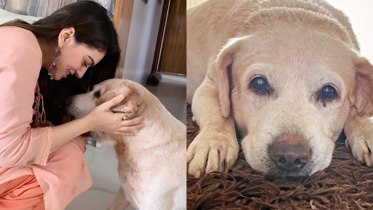 Hansika Motwani Pens Emotional Note For Pet Dog Says, ‘Hardest Goodbye’