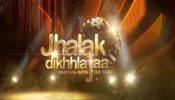 Jhalak Dikhhla Jaa 11: A Look At The Contestants Who Will Shake Legs 860377