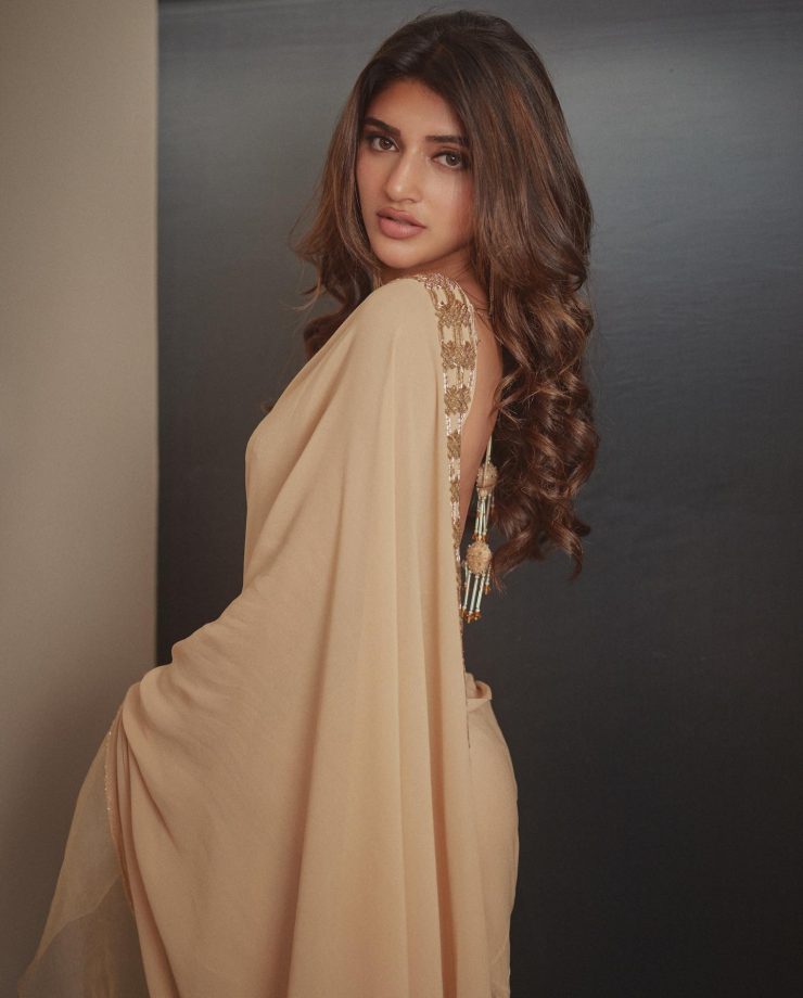 Sreeleela Shines In Beige Chiffon Saree With Bustier Blouse, See Photos 865252