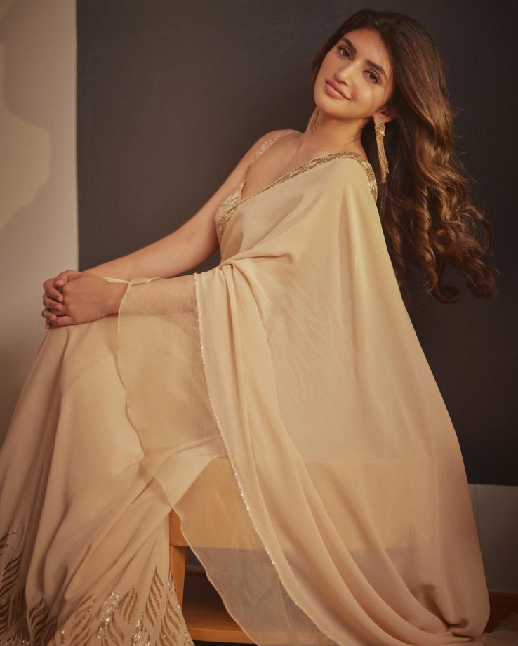 Sreeleela Shines In Beige Chiffon Saree With Bustier Blouse, See Photos 865254