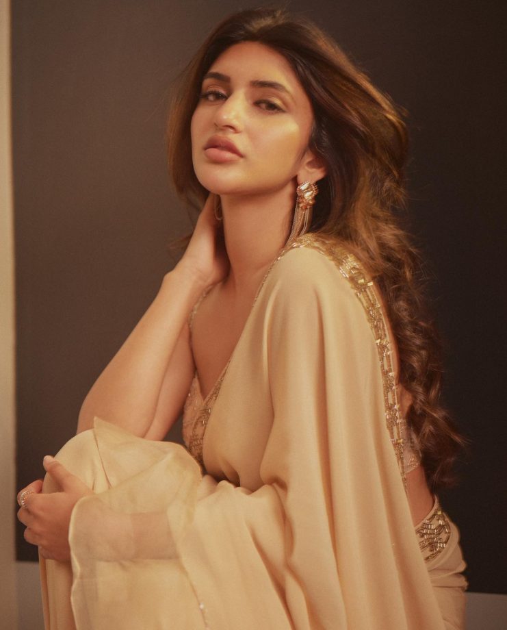 Sreeleela Shines In Beige Chiffon Saree With Bustier Blouse, See Photos 865251