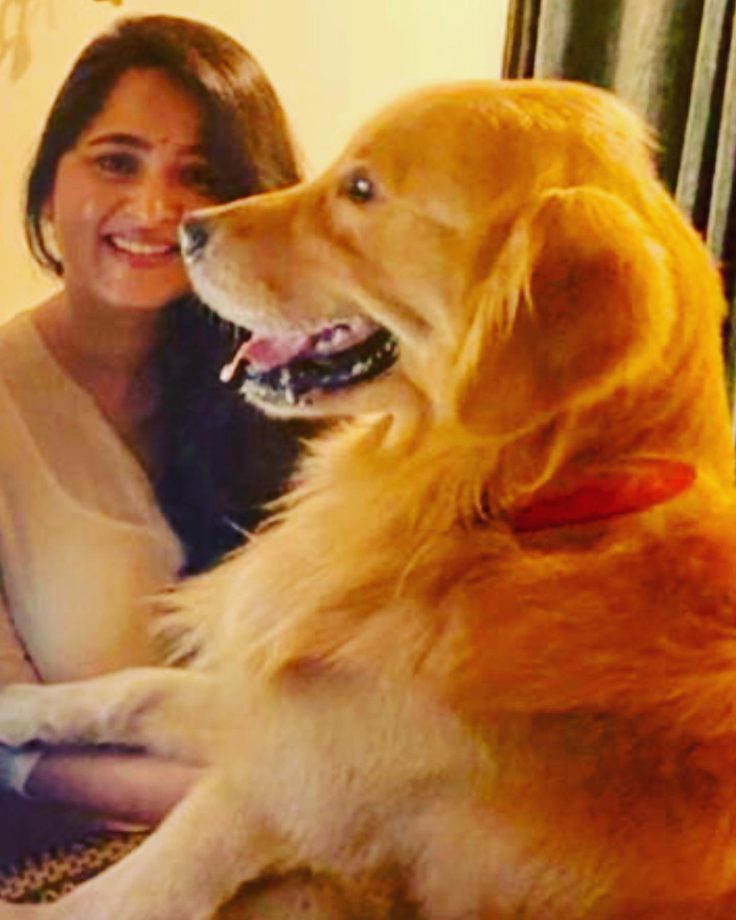 True Dog Lovers FT. Anushka Shetty, Mahesh Babu And Vignesh Shivan 858200