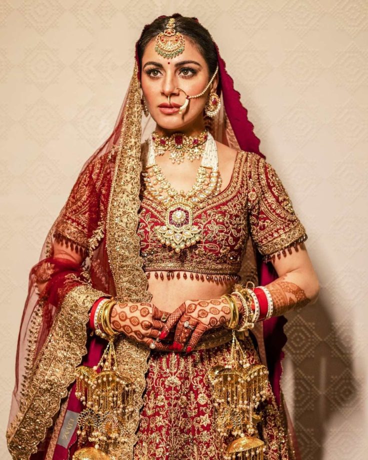 Wedding Lehenga Tips: Ayesha Singh, Shraddha Arya And Shehnaaz Gill 858681